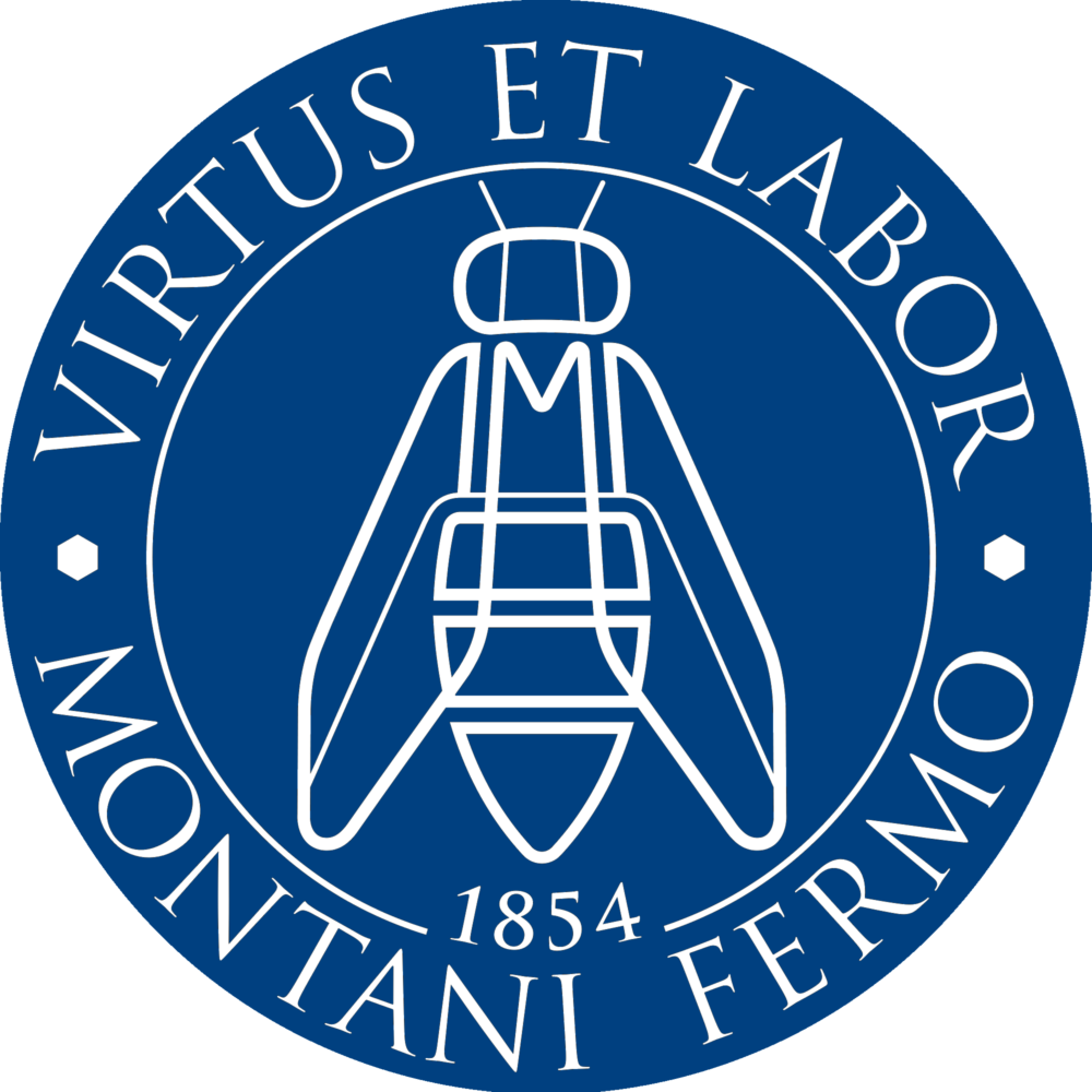 Logo ITT Montani Fermo